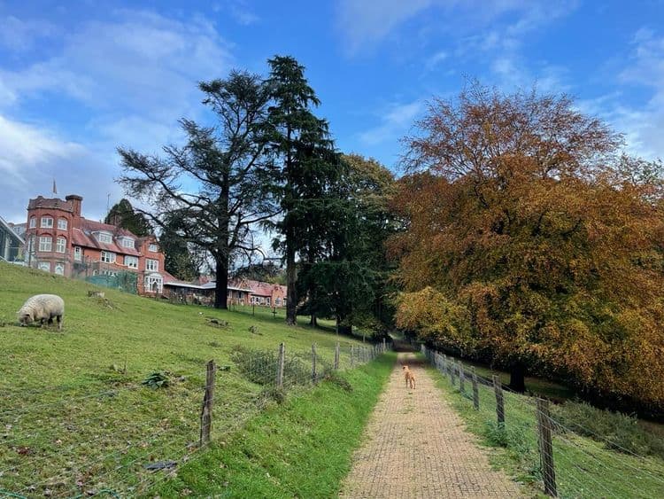 Huntington House Care Home, Hindhead, GU26 6BG