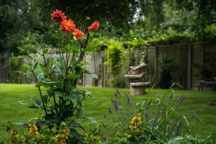 Acorn Meadow Care Home, Northwich, CW9 7QA