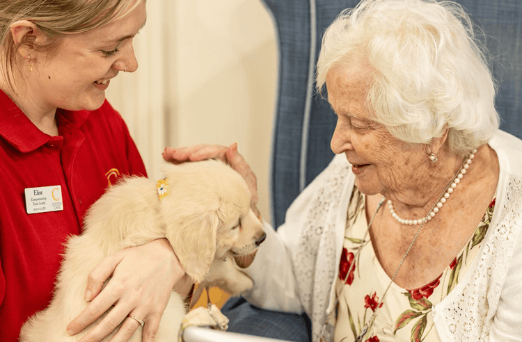 Avon Cliff Care Home, Bournemouth, BH1 3PE