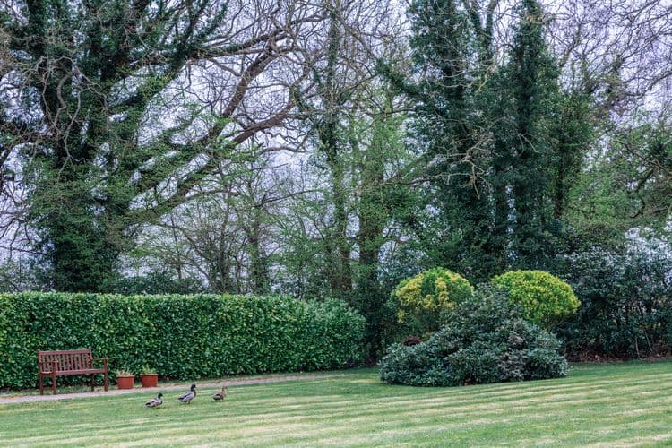 Cossins House Care Home, Cobham, KT11 3LZ