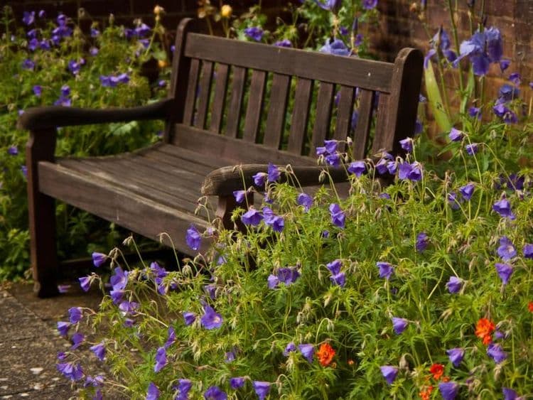 Barchester Healthcare Milford House Care Home, Salisbury, SP1 1NJ