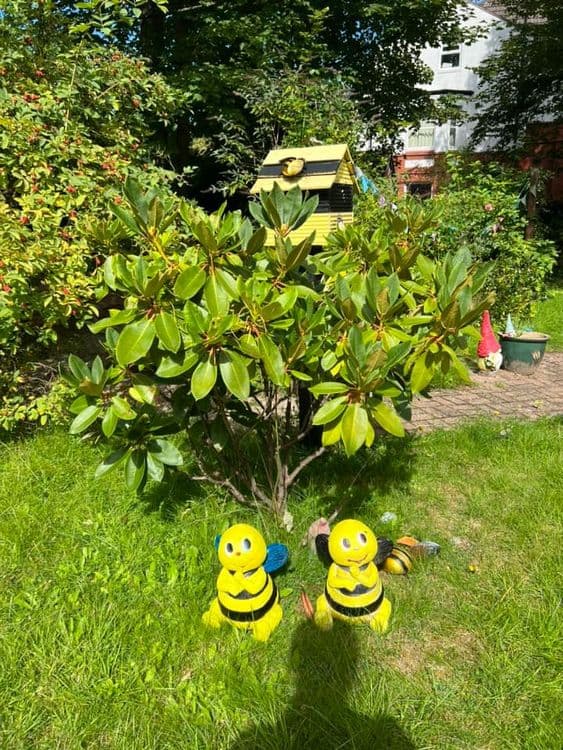 Beechcroft Care Home, Birkenhead, CH43 6UW