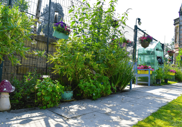 Bilton Hall Care Home, Harrogate, HG1 4DW