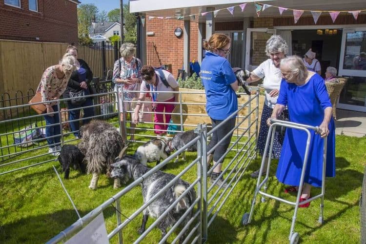 Pear Tree Court Care Home, Horndean, PO8 9LN