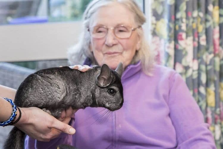 Pear Tree Court Care Home, Horndean, PO8 9LN