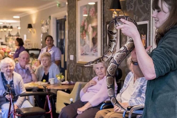 Pear Tree Court Care Home, Horndean, PO8 9LN