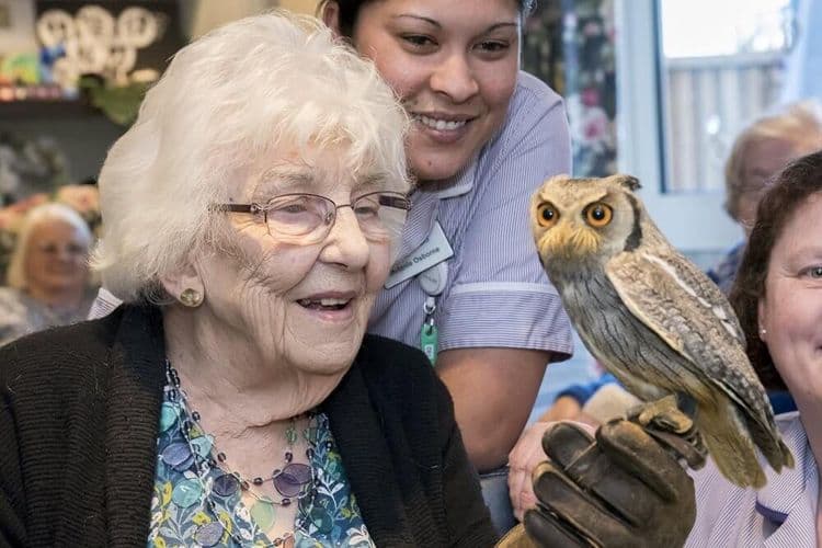 Pear Tree Court Care Home, Horndean, PO8 9LN