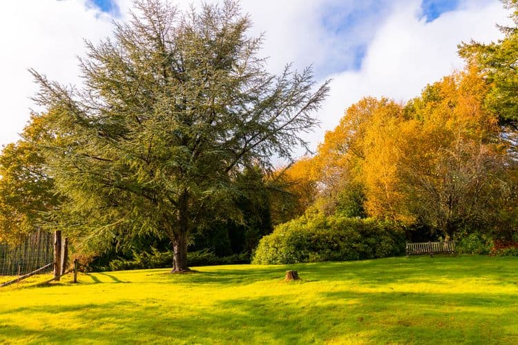Barchester Healthcare The Cedars Care Home, Salisbury, SP5 2EJ