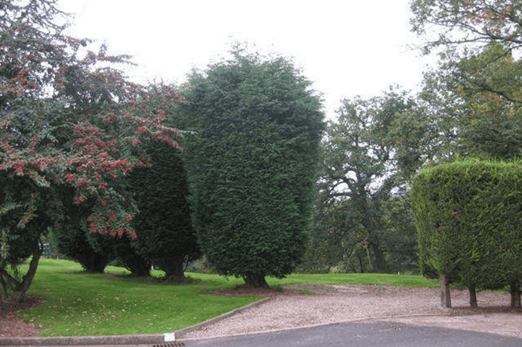 Westley Court Care Home, Nr Kidderminster, DY10 3RT