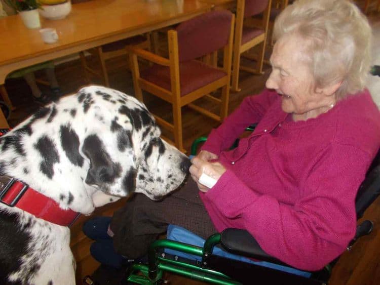 Elm House Care Home, Nantwich, CW5 5SS