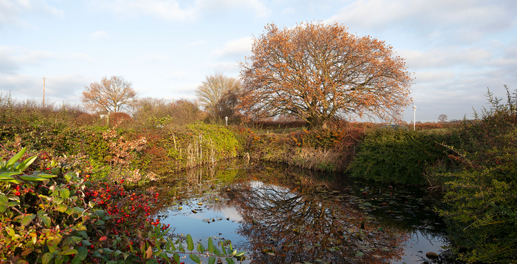 Elmcroft Care Home, Maldon, CM9 8JX