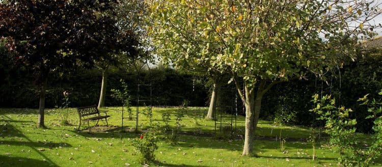 Northlea Court Care Home, Cramlington, NE23 1XX