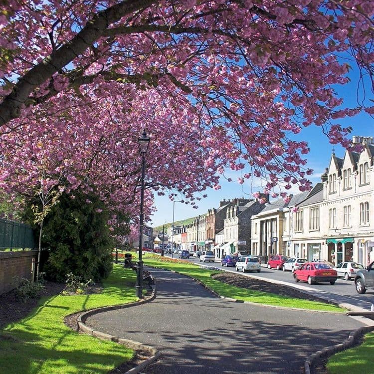 Galahill House Care Home, Galashiels, TD1 3DX