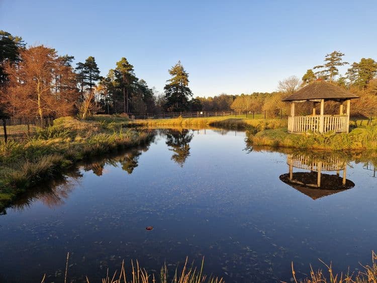 Huntington House Care Home, Hindhead, GU26 6BG