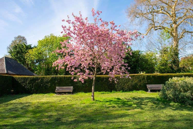 Lambrook Court Care Home