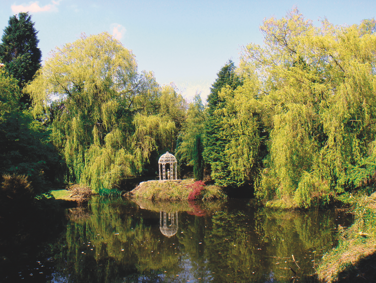 Moat Park Care Home