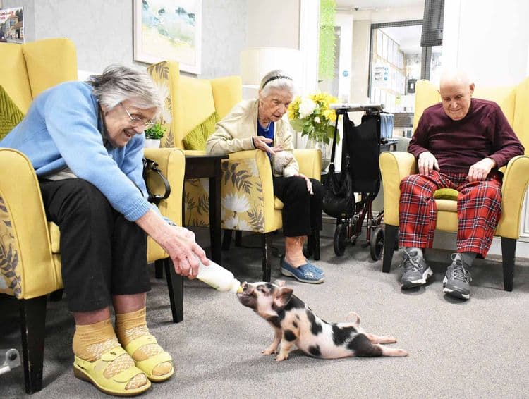 Cedar Lodge Care Home, Frimley, GU16 9NP