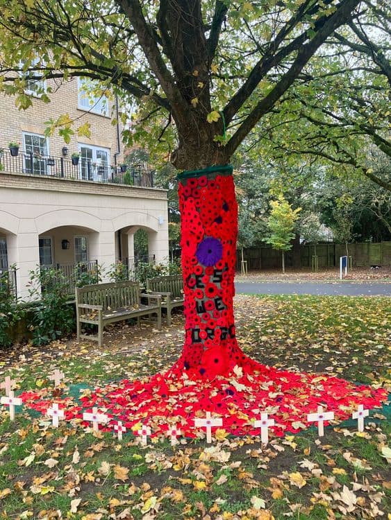 Mulberry Fields Care Home