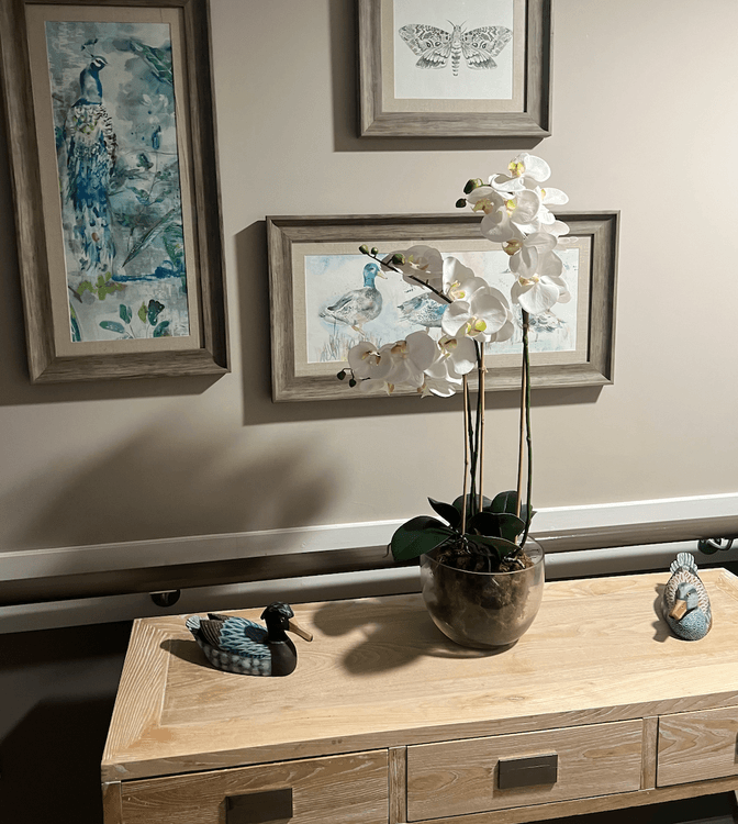 Mockley Manor Care Home, Ullenhall , Nr Henley-In-Arden, B95 5PS