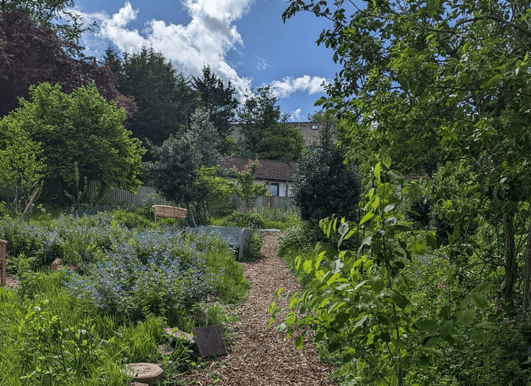 Hillcrest Care Home, Frodsham, WA6 6ES