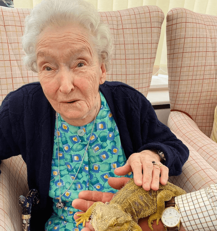 Newstead House Care Home, Hereford, HR1 1DT