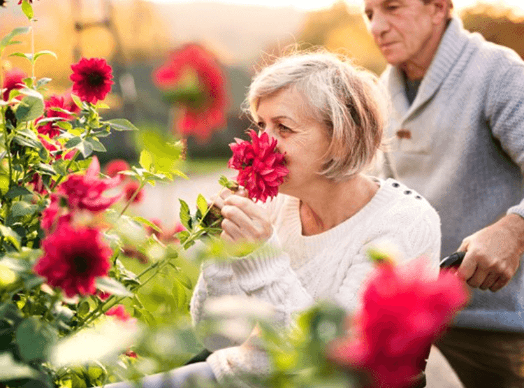 Hatch Mill Care Home, Farnham, GU9 7UH