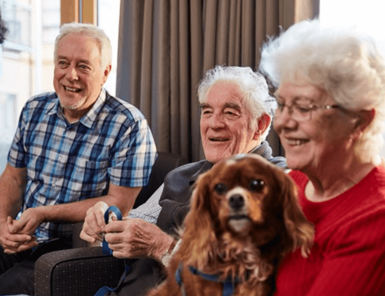 Ridgway Court Care Home, Farnham, GU9 8NW