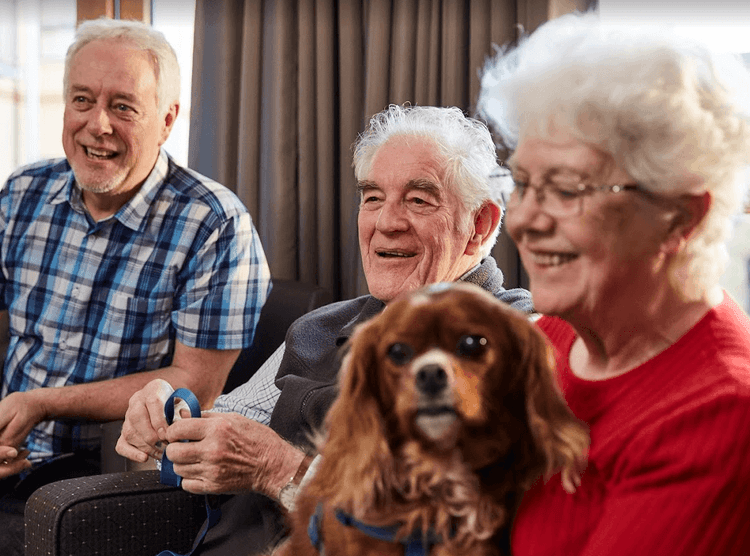 Wey Valley House Care Home, Farnham, GU9 7UQ