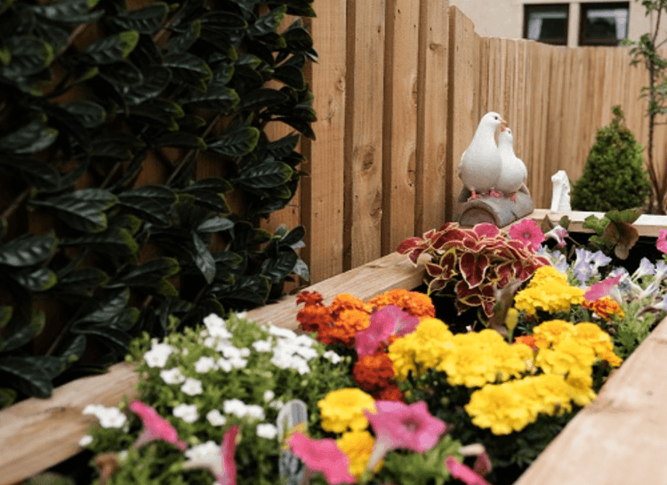 Ashley Court Care Home, Edinburgh, EH10 5LH