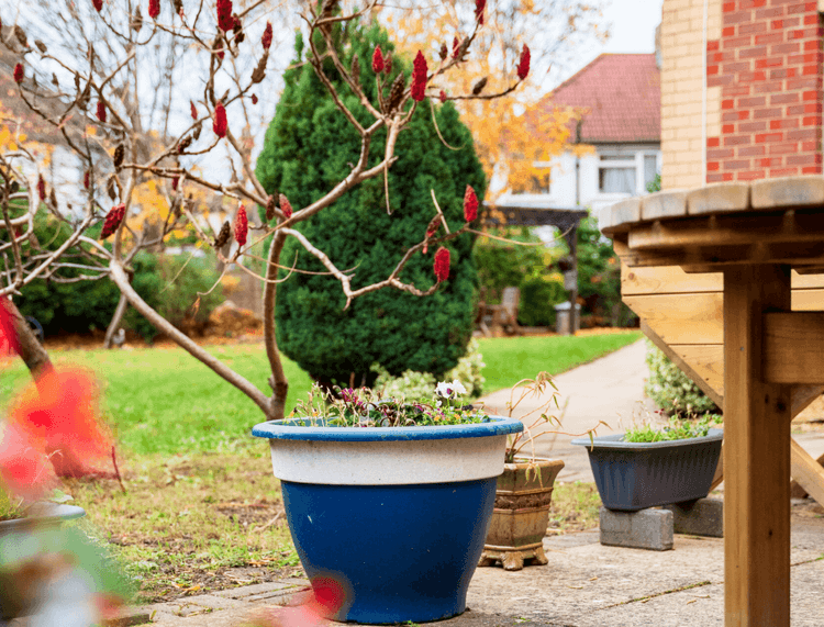 Murrayfield Care Home, London, N18 2DF