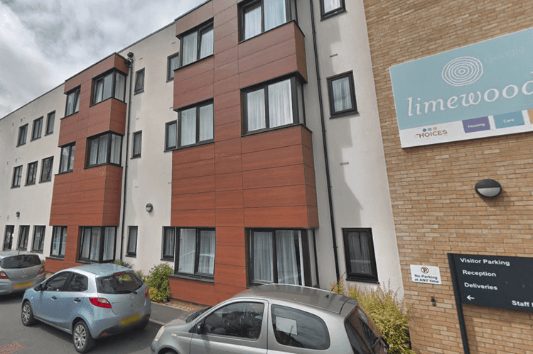 Limewood-main-image