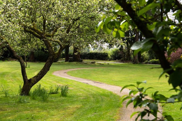 Shannon Court Care Home, Shannon Court Road, GU26 6DA