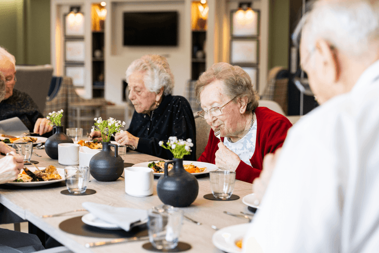 Shenstone Court Care Home, Halesowen, B62 8EN