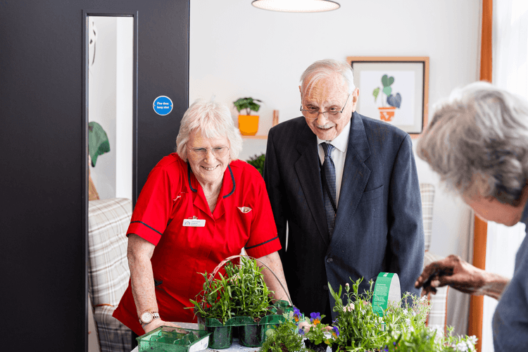 Shenstone Court Care Home, Halesowen, B62 8EN