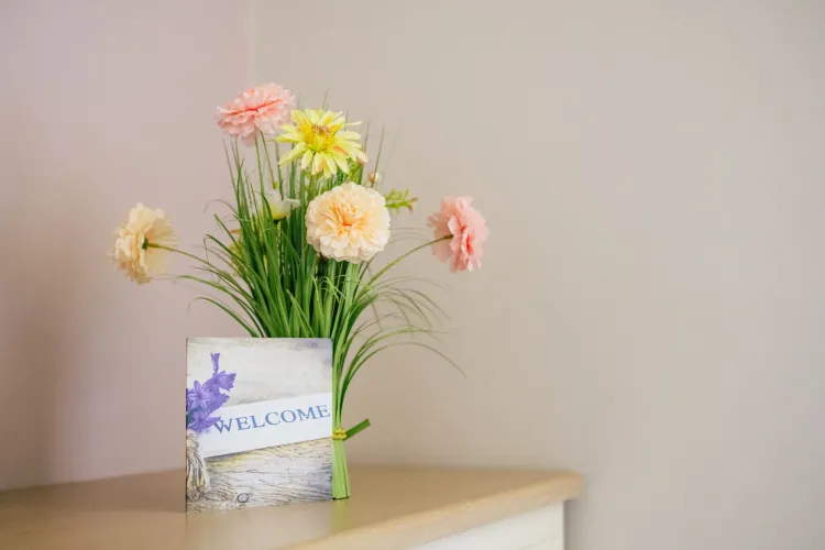 Moorhaven Care Home, Taunton, TA1 2JT