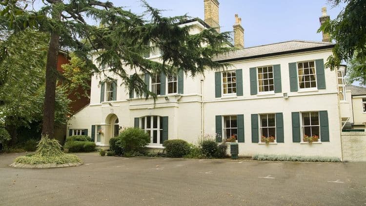 The Pines-main-image