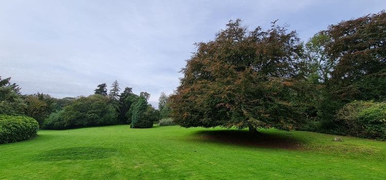 Oaktree Hall & Lodge Care Home, Bridlington, YO16 4UH