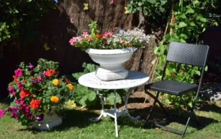 Abbeyfield House - Westbury Care Home