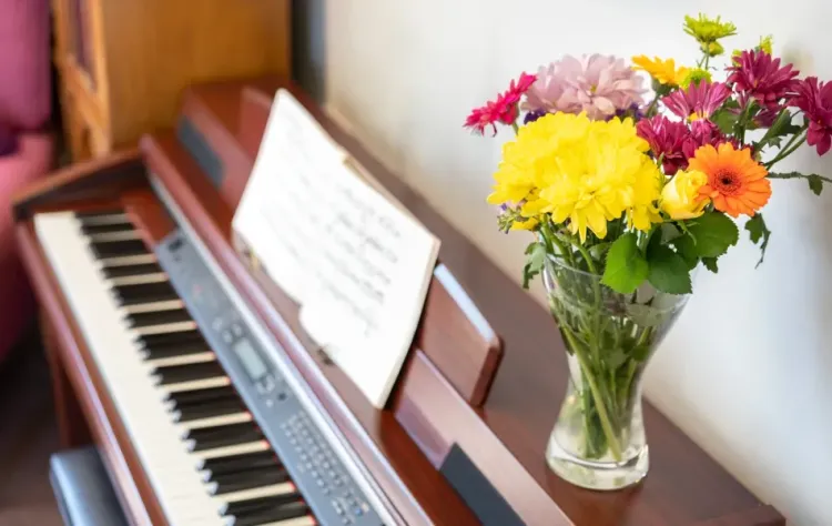 Carnarvon House Care Home