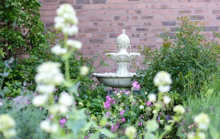Carnarvon House Care Home