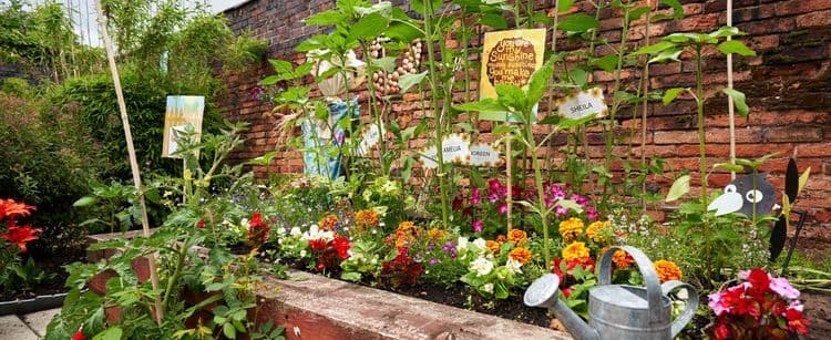 Lane House Care Home, Tamworth, B79 7SF