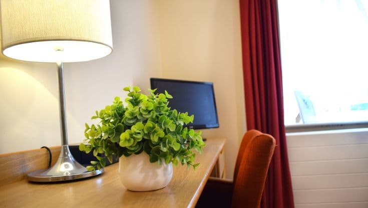 HC-One - Roby Lodge care home - 006