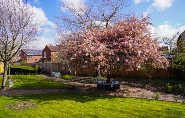 Garden at Regent Residential, St John's, Worcester