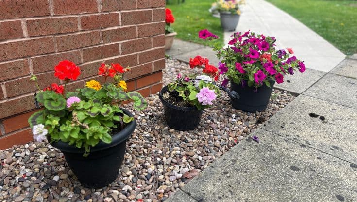 Beeches Care Home, Arnold, NG5 7AJ