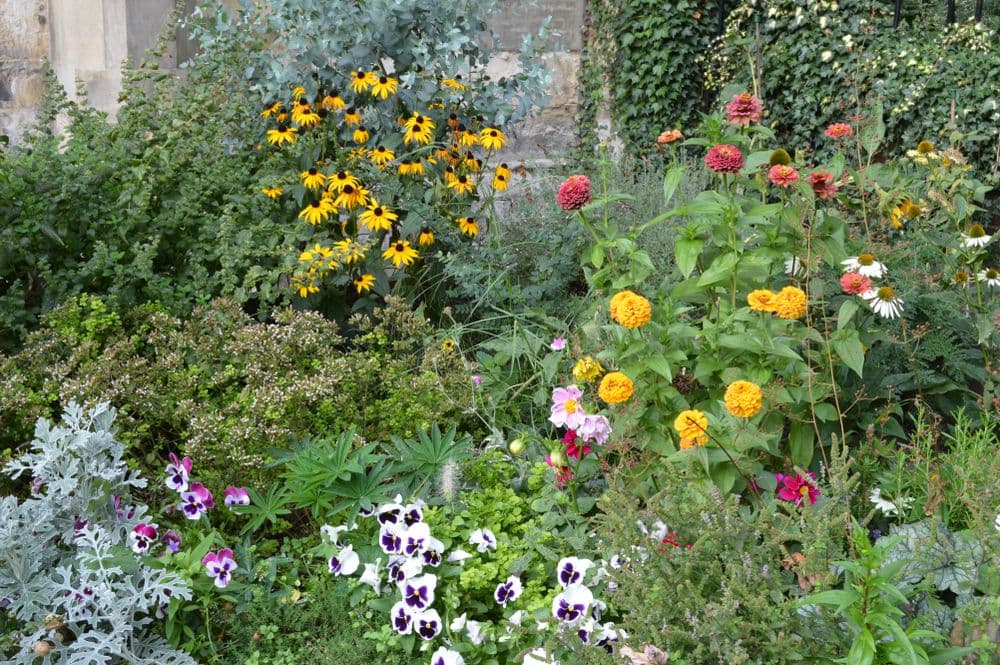 Small sensory garden