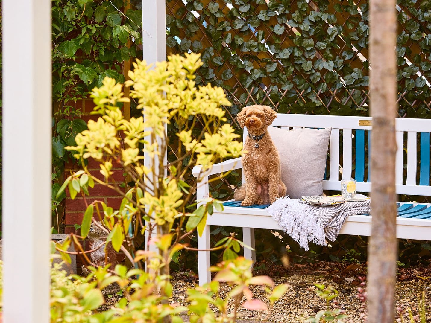 Hallmark Luxury Care Homes  - Hallmark Shire Hall care home - 018