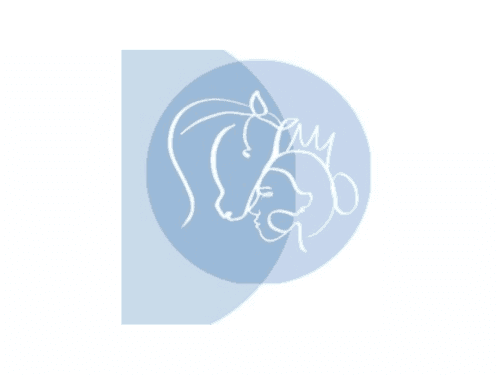 Carltonlima Care Care Home