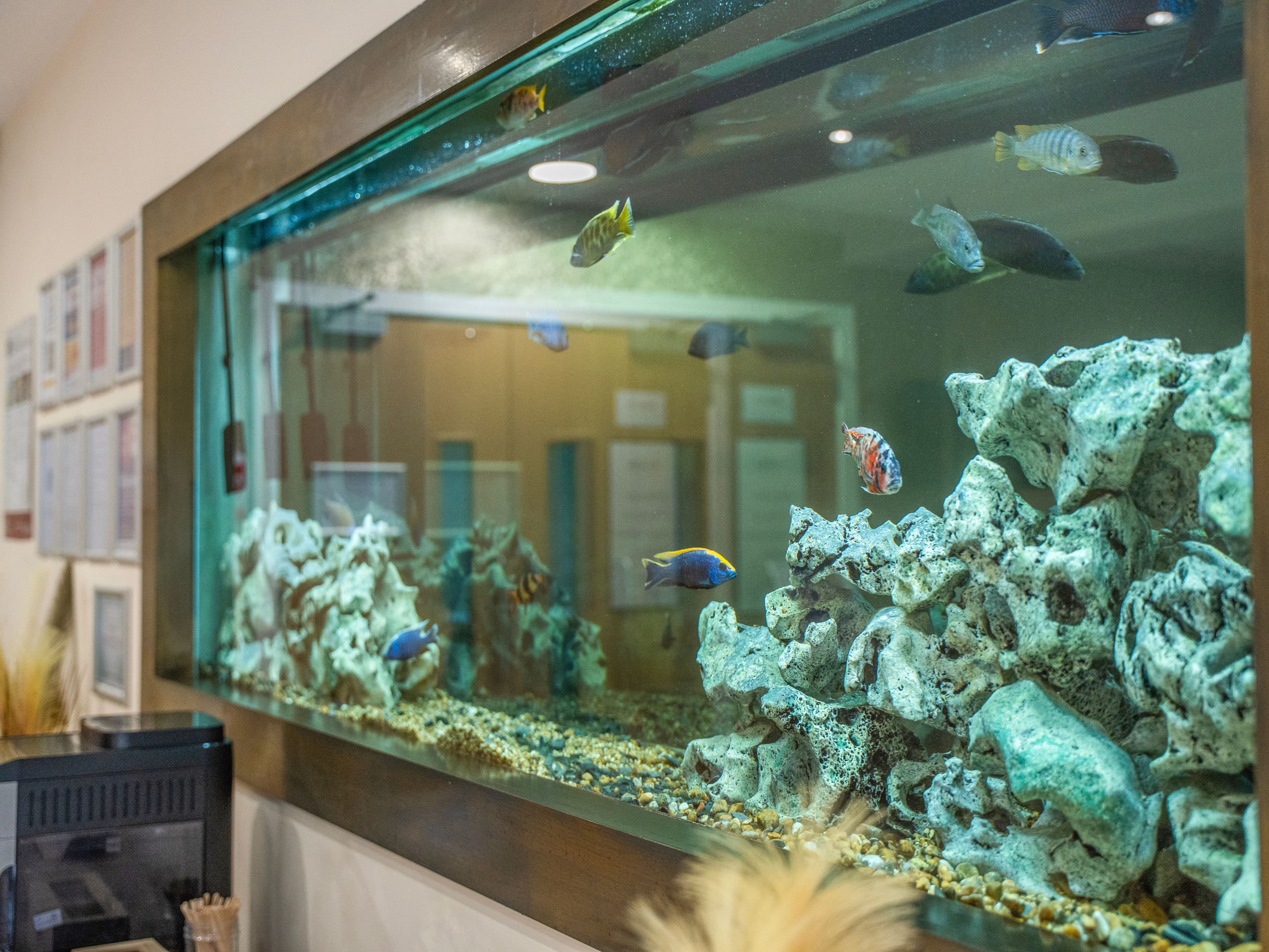 Harbour Healthcare - Fleetwood Heights care home - 009