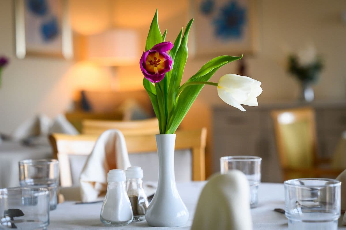 HC-One - Merino Court care home - 011