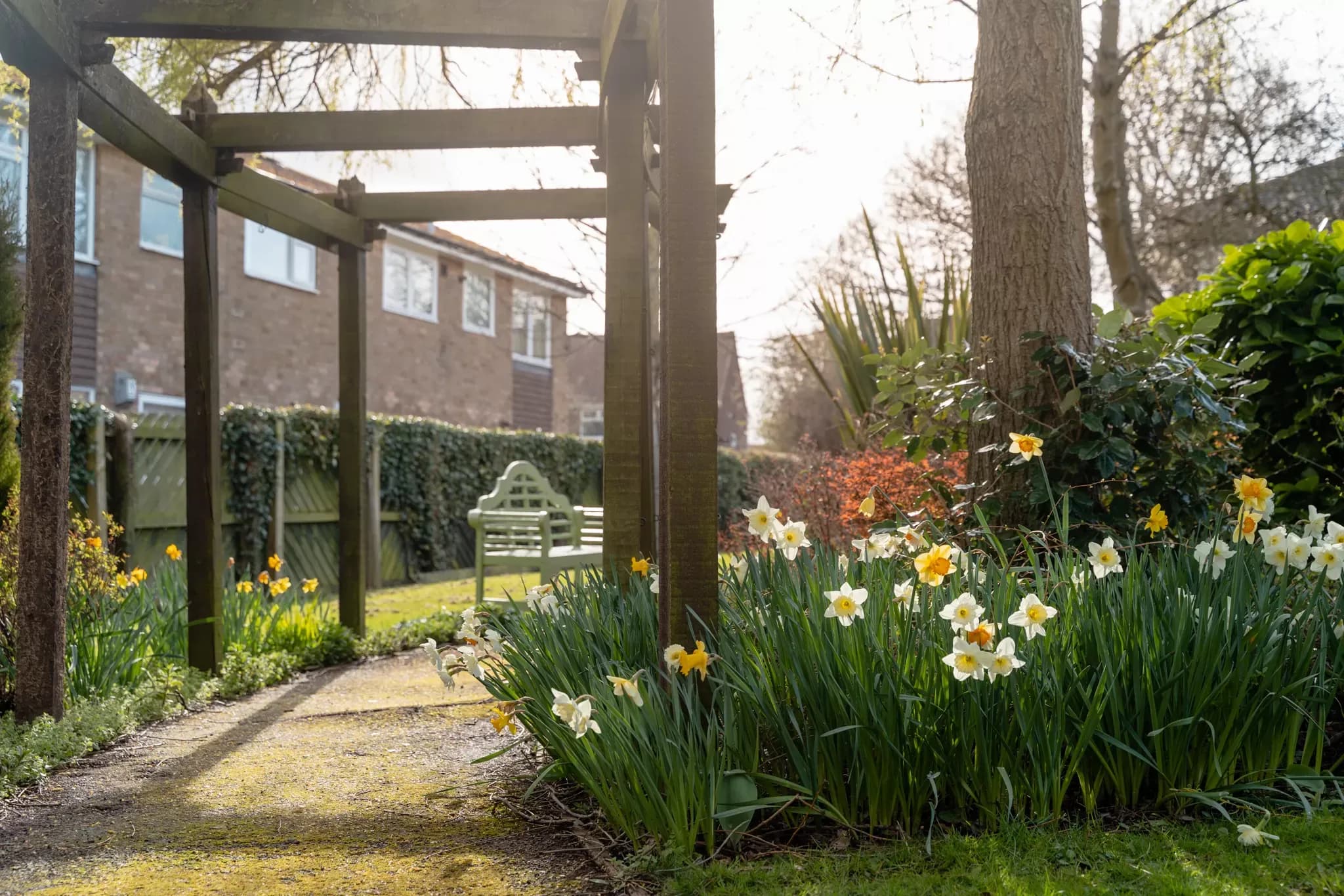 Solehawk - Kenton Hall care home - 008